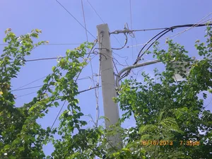 A nearby power pole provides home wiring!